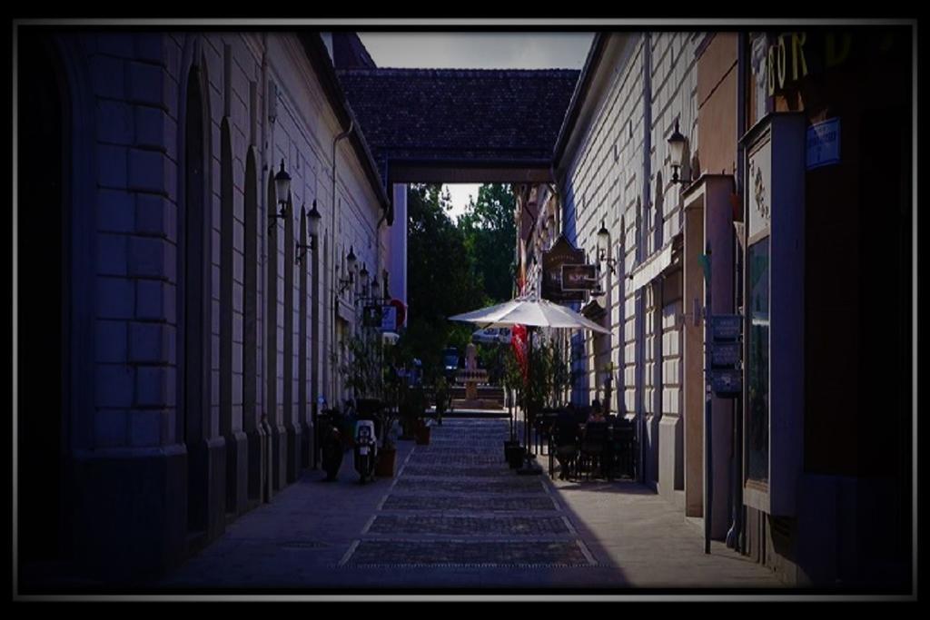 Happy Colours In Old Town Apartment Kecskemet Bagian luar foto